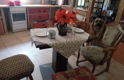 Lohma House | Caravan for 2 guests with 9m² in Löhma (267251)