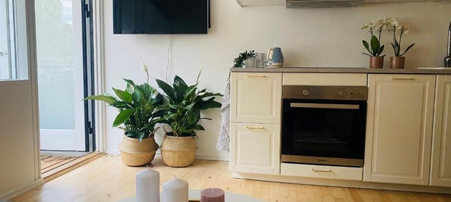aday - Dagmargade - Studio in København