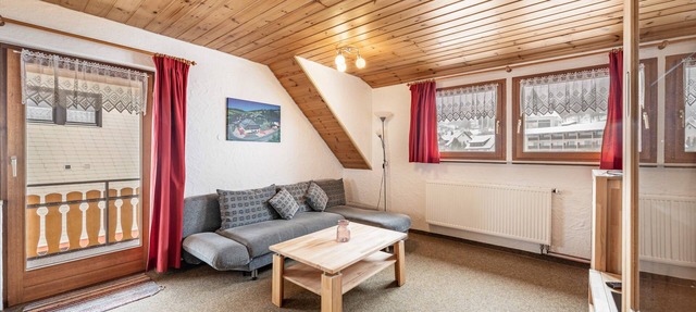 Apartment 'Abendsonne' with Mountain View, Shared Terrace and Wi-Fi in Todtnau