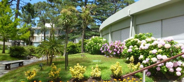 Arcobaleno Anillo 2 in Punta del Este