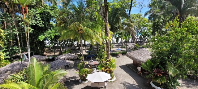 Beach Hotel - Buena Vista + in Manuel Antonio