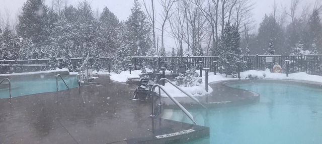 Cozy Blue Mountain Condo -Ski, Swim, Hike, Enjoy in Blue Mountains
