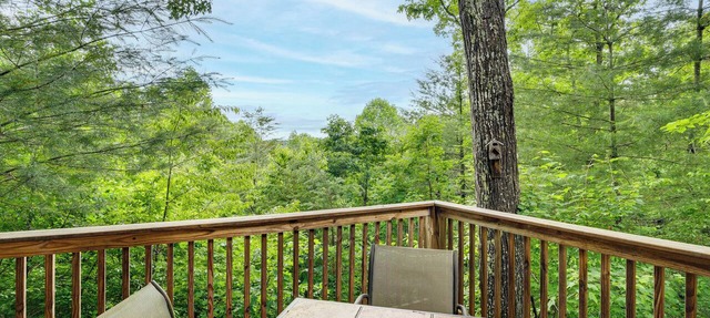 Family Friendly! Scenic Murphy Escape w/Fire Pit in Murphy