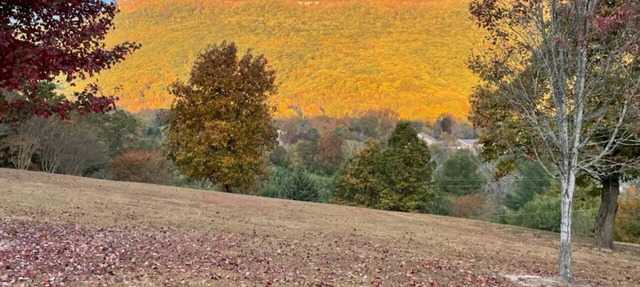 Free Ruby Falls Ticket & More -Large 4BR/3BA-3 acres- Cloudland Canyon, Chattanooga-Lookout Mountain in Chickamauga