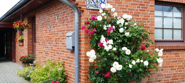 Gemütliches Apartment in Rövershagen mit Garten in Rövershagen