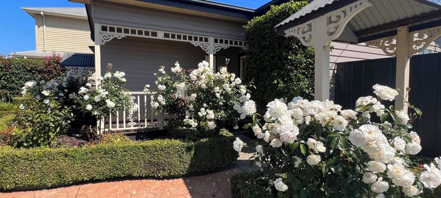Gorgeous ultra clean 3 Bedroom/2 Bathroom Home Close to popular attractions/CBD in Traralgon