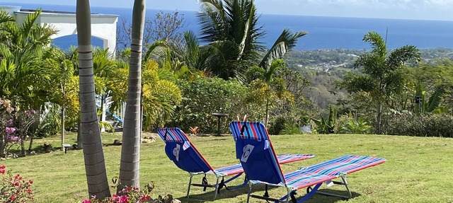 Hilltop Studio with ocean views, free daily breakfast and airport pickup. in Haughton Court