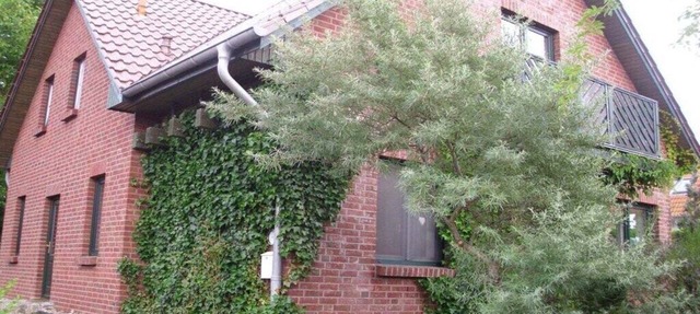 Holiday apartment with 1 bedroom in Kaltenhof