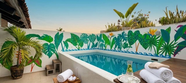 Luxury Loft with Private Pool in Ixtapa in Ixtapa