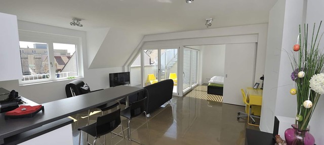 Modern, Architect-Designed Penthouse Loft With 2 Outdoor Roof Terraces in Vienna