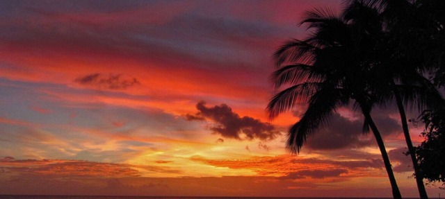 Poipu Kapili 54 - Air Conditioned OCEANFRONT Townhome - Can't beat our views in Koloa
