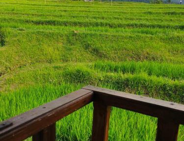 Pondok Pengaringan Loon in Gitgit