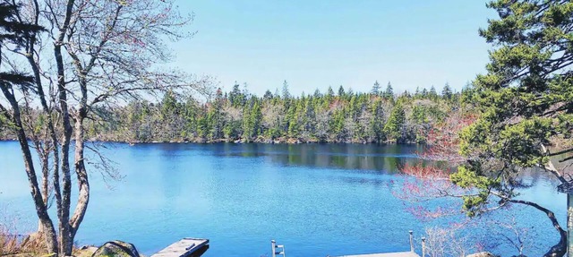 Private Lakefront Escape – Swim, Sip Wine & Stargaze – 25 Mins to Halifax in Brookside