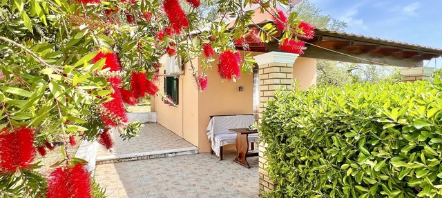 Renas Studio near Roda in Roda