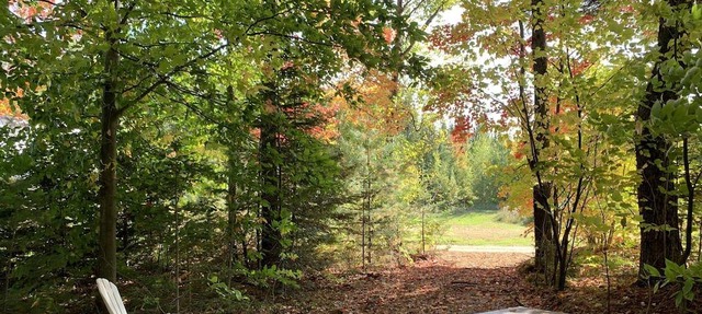Rustic forest hut (taxiway station) in Saint-Cuthbert