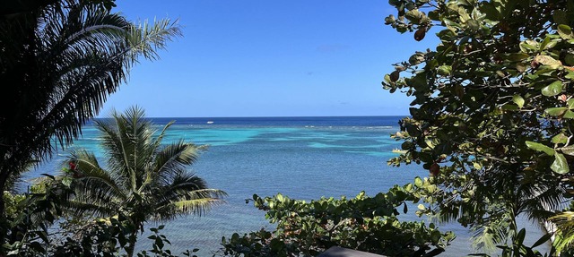 Stunning Temple Tree House, pool! Romantic Beach Getaway on 1 acre in West Bay