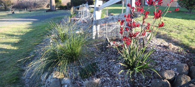 Summit Accommodation in rural peace10 mins from Launceston in Devon Hills