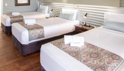 The Olive Tree Motel in Morwell