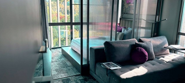 Tiny 'Lagoon' Escape – Soft, Serene, Central! in Braddon