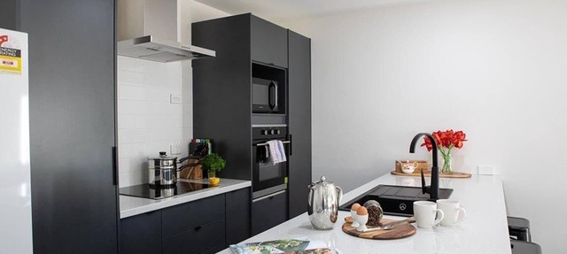 Twin Camellias - Redwoods, Modern, Sleeps 6 in Rotorua