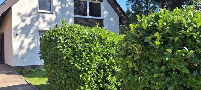 Vacation apartment Abendsonne in Winsen (Luhe)