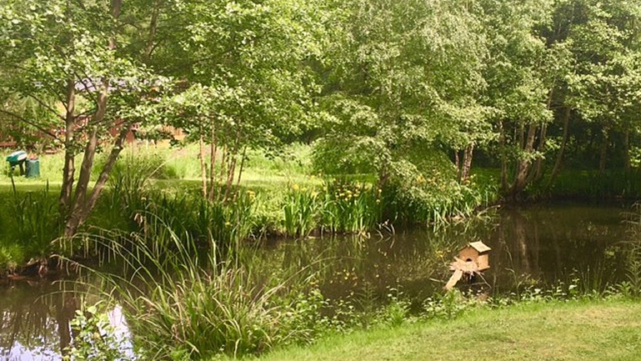 Photo of Others in Acomb
