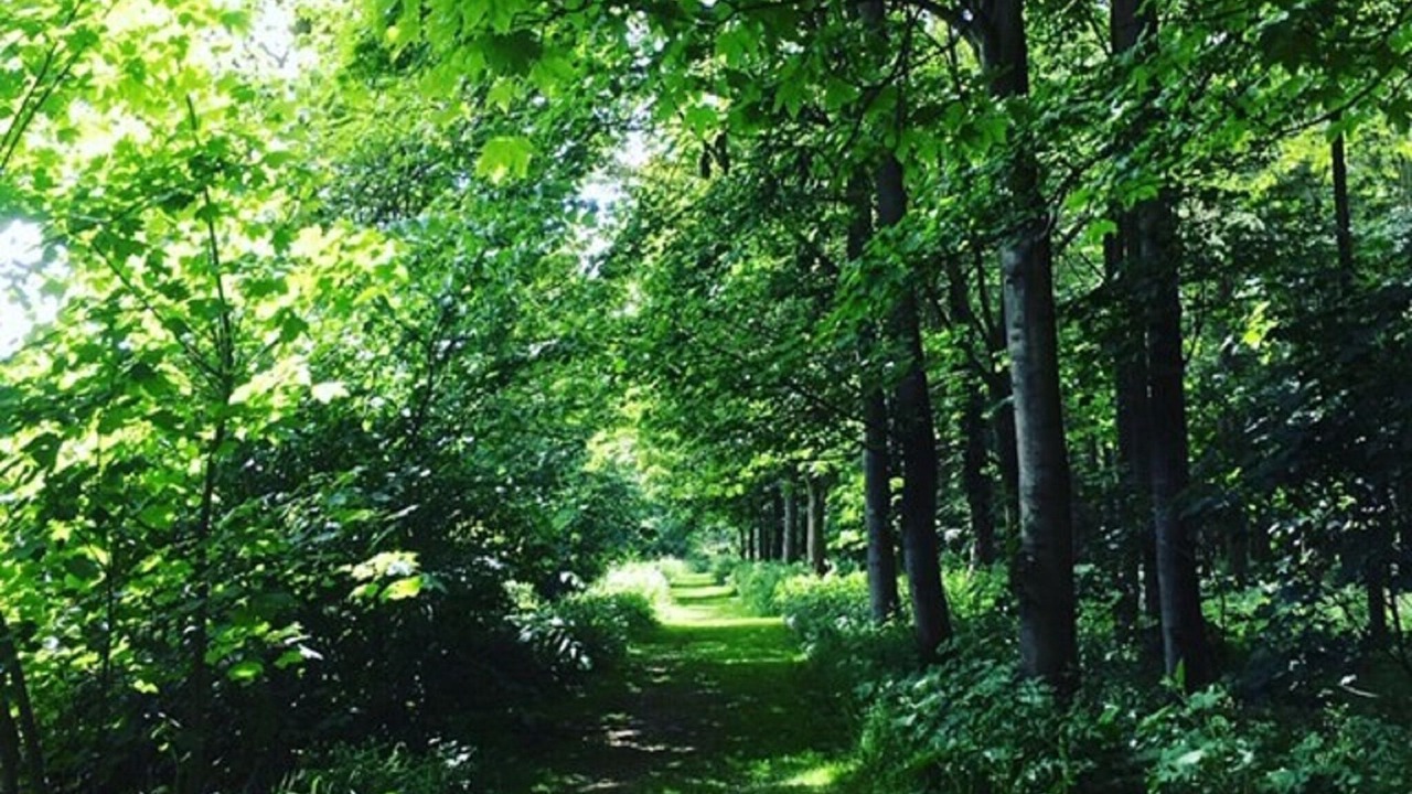 Photo of Outdoor in Acomb