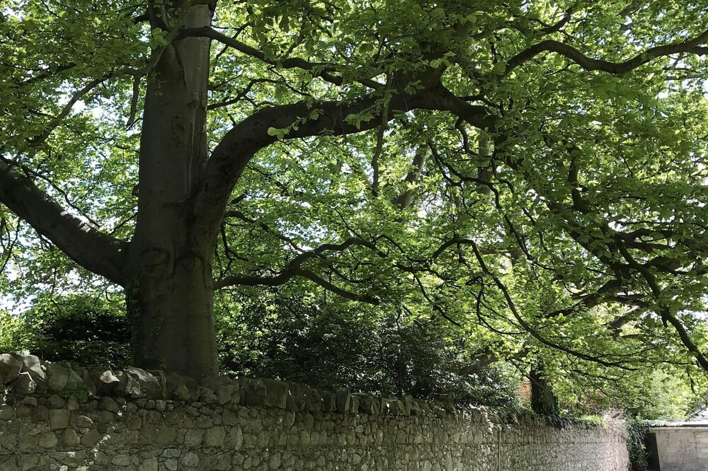Photo of Outdoor in Scalpwilliam