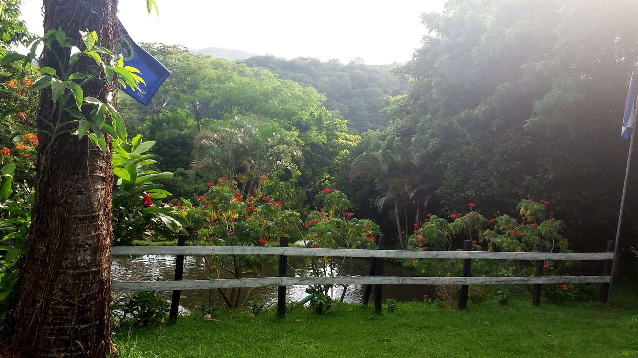 Photo of Outdoor in Monteverde