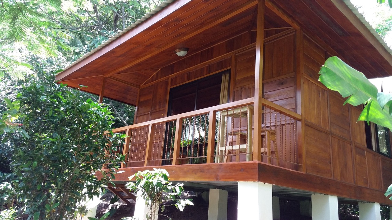 Photo of Others in Monteverde