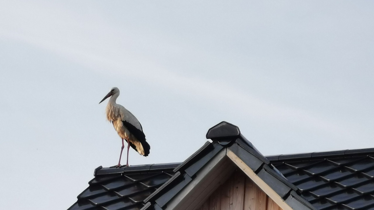 Photo of Outdoor in Neuengamme