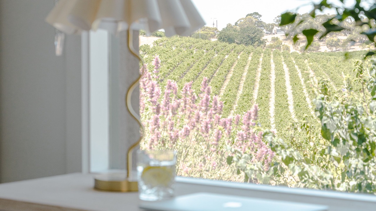 Photo of Others in McLaren Vale