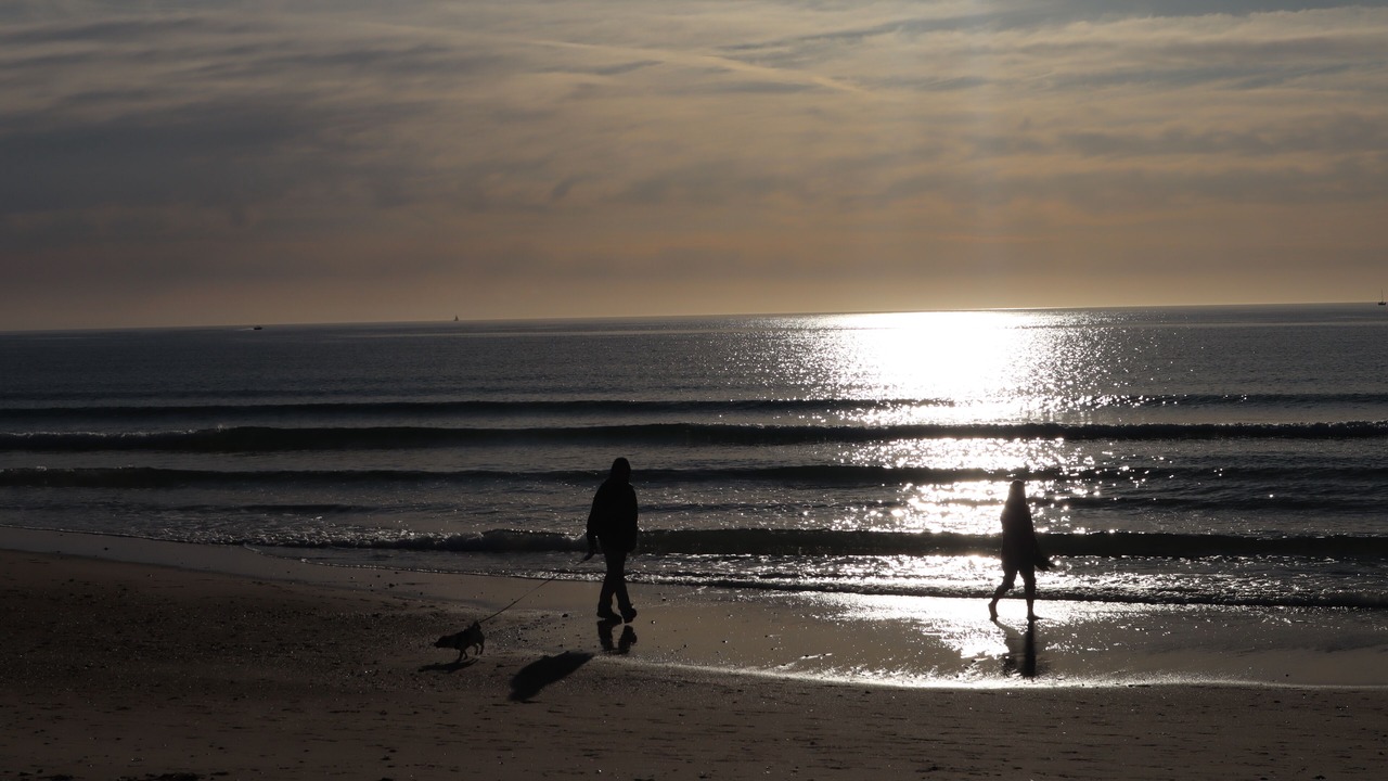 Photo of Others in Glenelg East