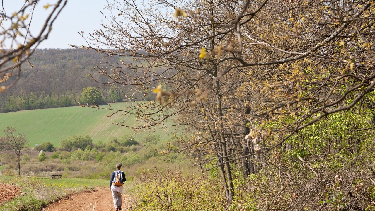 Photo of Outdoor in Irota