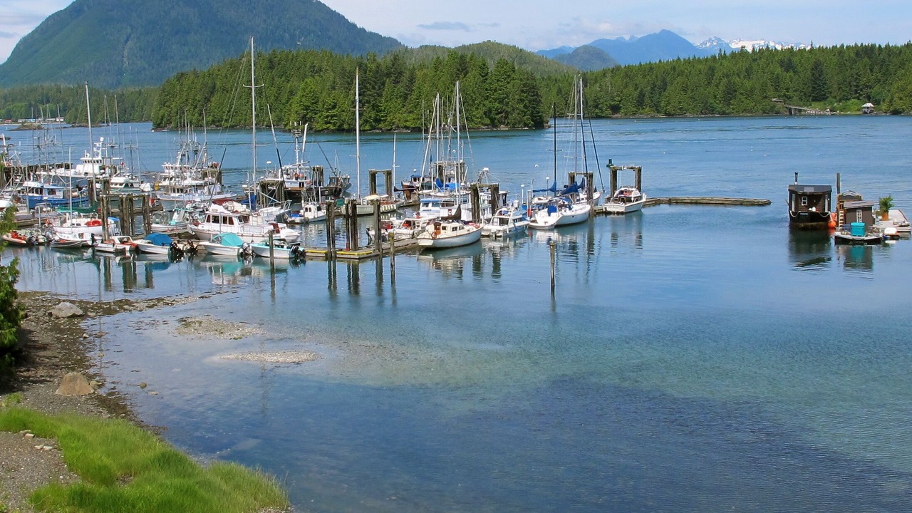 Photo of Others in Tofino