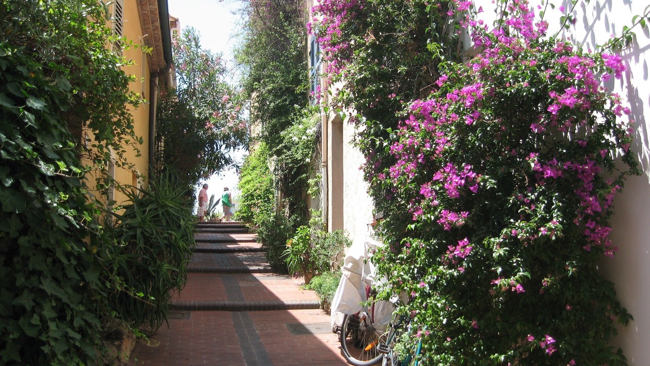 Photo of Others in Antibes City Centre