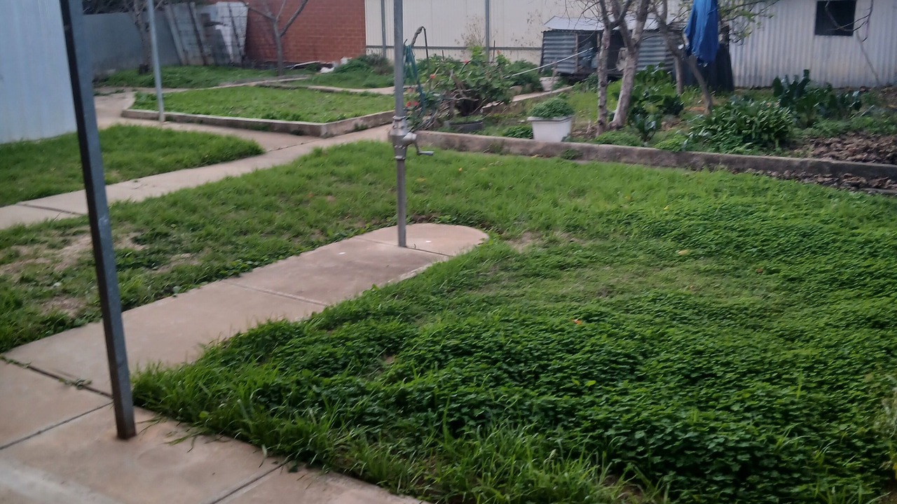Photo of Outdoor in Norwood