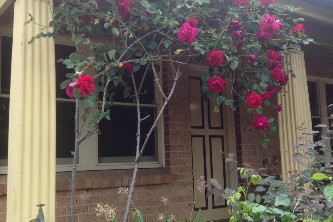 Photo of Others in Hahndorf