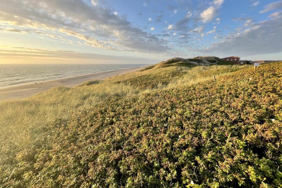 Photo of Others in Westerland