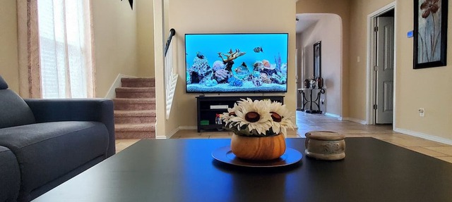 NO Cleaning Fee! Cleanest and Coziest Home in San Antonio in San Antonio