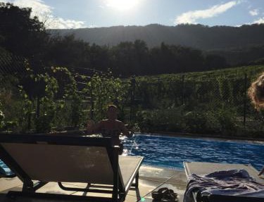 cottage with private swimming pool in Pavlov
